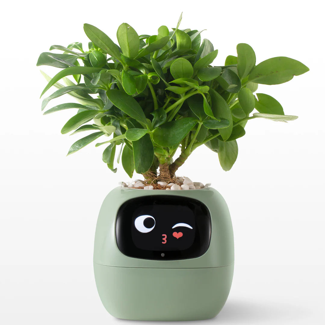 LitLamp™ Ivy Smart Planter