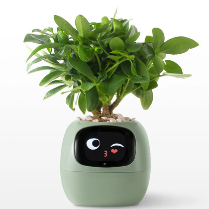 LitLamp™ Ivy Smart Planter