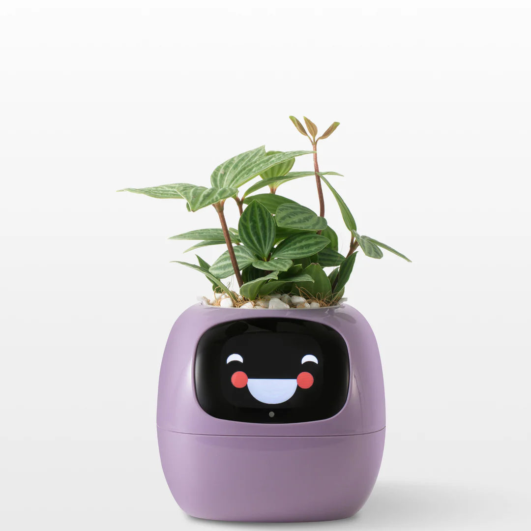 LitLamp™ Ivy Smart Planter