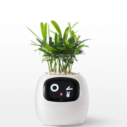 LitLamp™ Ivy Smart Planter