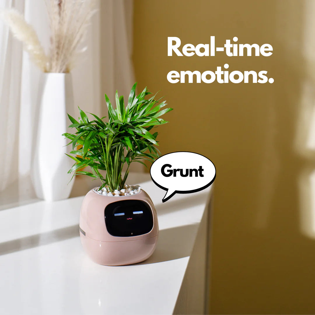LitLamp™ Ivy Smart Planter