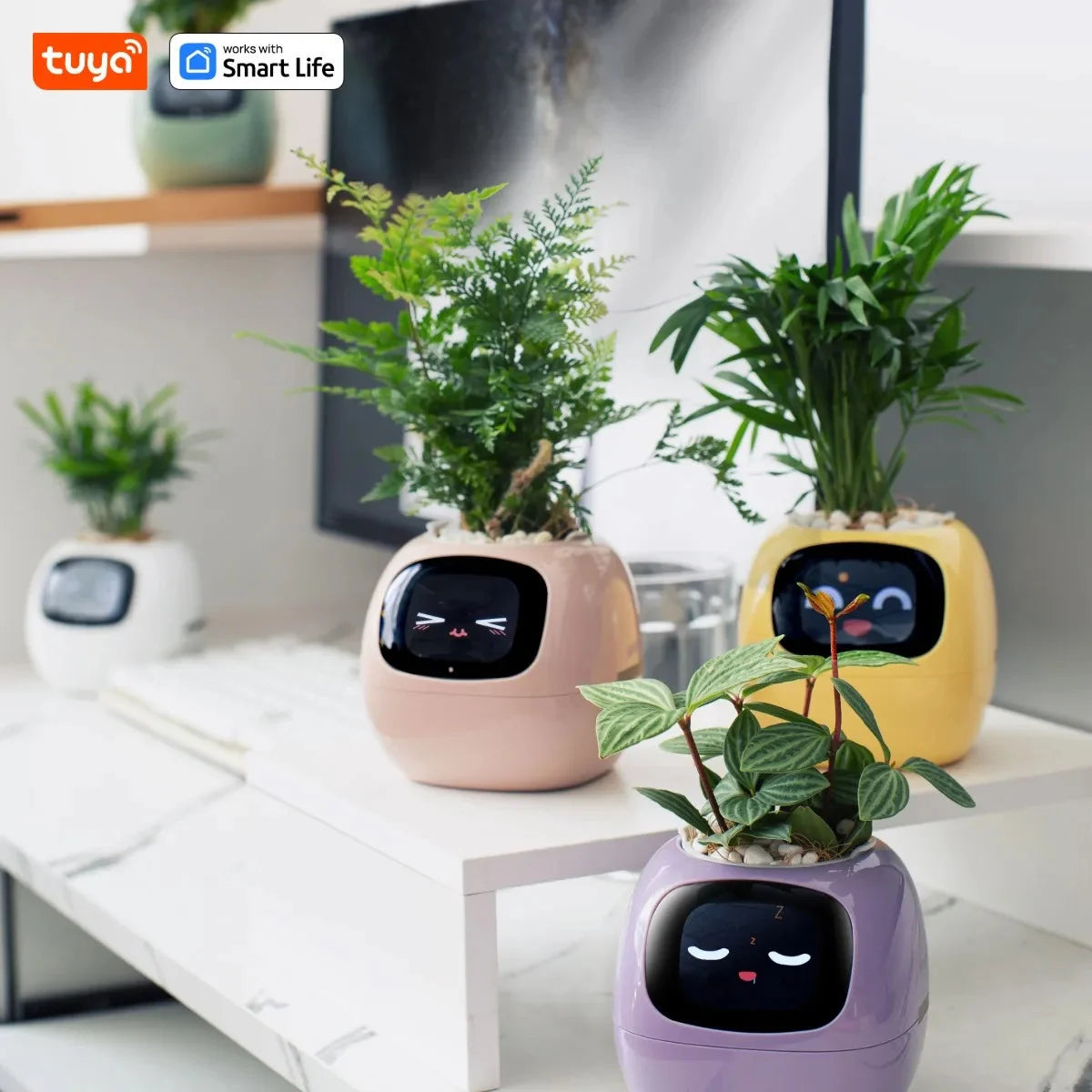 LitLamp™ Ivy Smart Planter