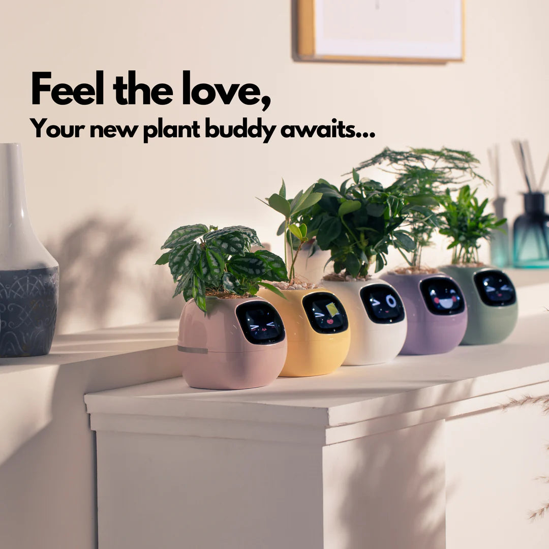 LitLamp™ Ivy Smart Planter