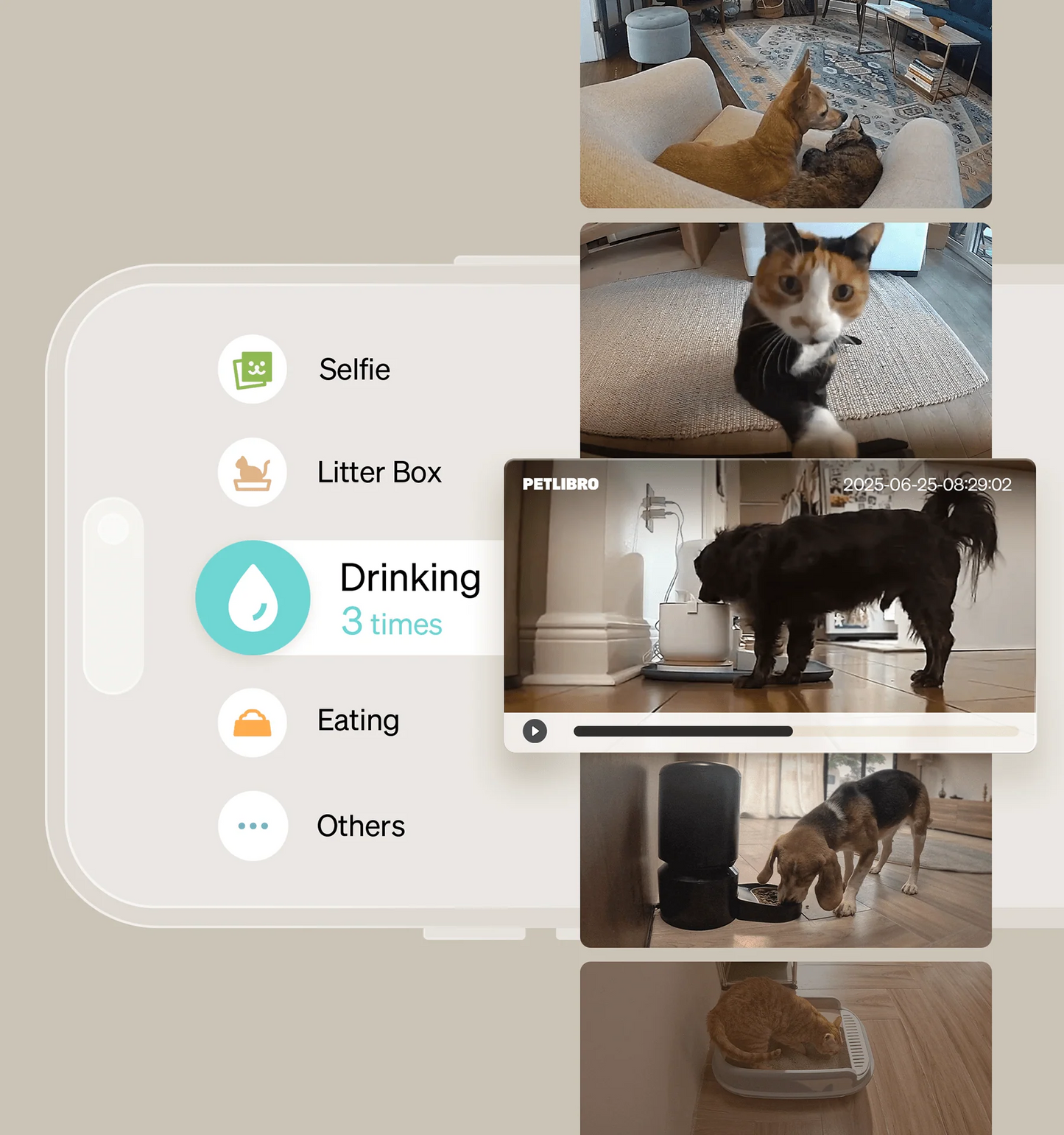 Scout Smart Camera