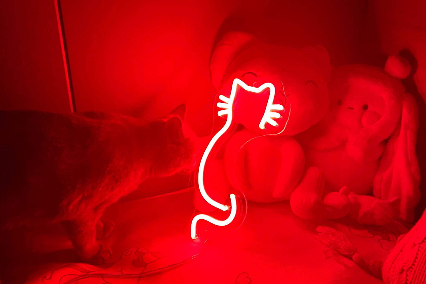 'Cat back' neon sign